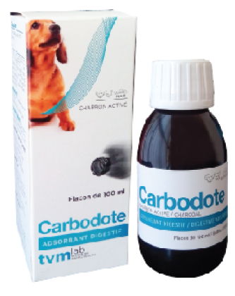 CARBODOTE 100ml