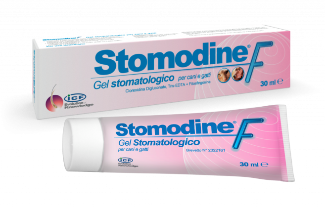 Stomodine-F-1024x654