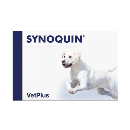 Synoquin-LB3